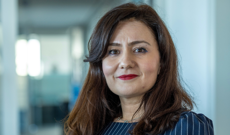 Anda Asaftei - Adviser - Banking and Business Intelligence
